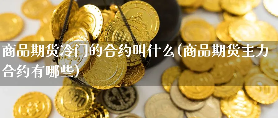 商品期货冷门的合约叫什么(商品期货主力合约有哪些) (https://www.ynbygsw.com/) 纳指期货 第1张