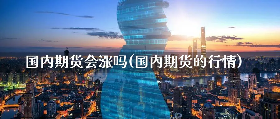 国内期货会涨吗(国内期货的行情) (https://www.ynbygsw.com/) 期货软件 第1张