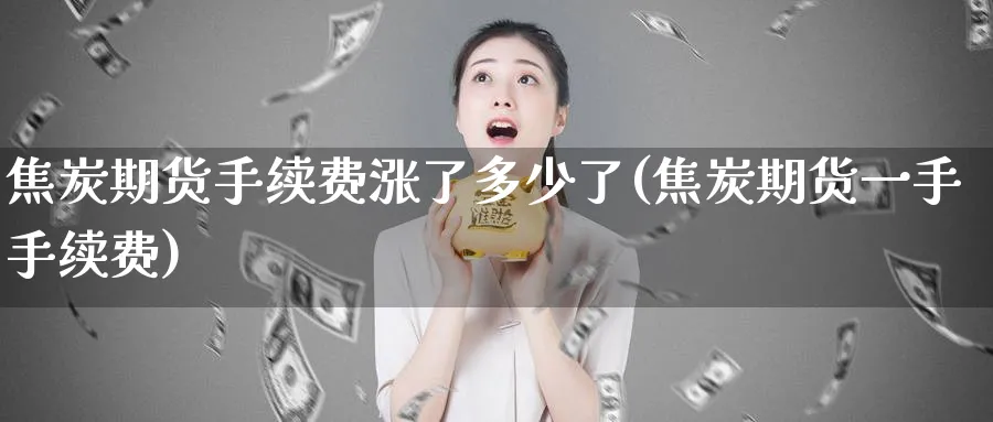 焦炭期货手续费涨了多少了(焦炭期货一手手续费) (https://www.ynbygsw.com/) 期货入门 第1张