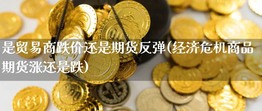 是贸易商跌价还是期货反弹(经济危机商品期货涨还是跌) 期货开户 第1张-财经圈 是贸易商跌价还是期货反弹(经济危机商品期货涨还是跌) (https://www.ynbygsw.com/) 期货开户 第1张