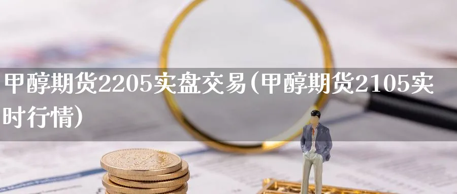 甲醇期货2205实盘交易(甲醇期货2105实时行情) (https://www.ynbygsw.com/) 基金投资 第1张