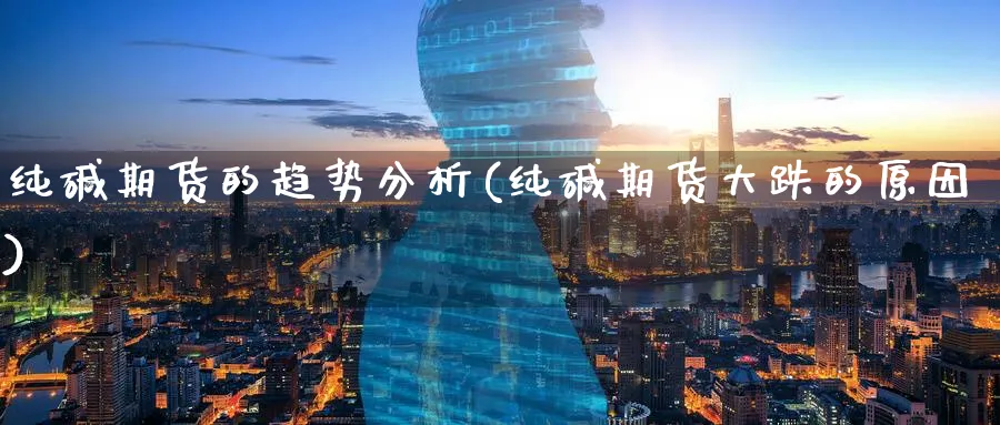 纯碱期货的趋势分析(纯碱期货大跌的原因) (https://www.ynbygsw.com/) 理财百科 第1张