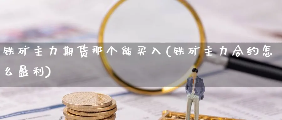 铁矿主力期货那个能买入(铁矿主力合约怎么盈利) (https://www.ynbygsw.com/) 基金投资 第1张