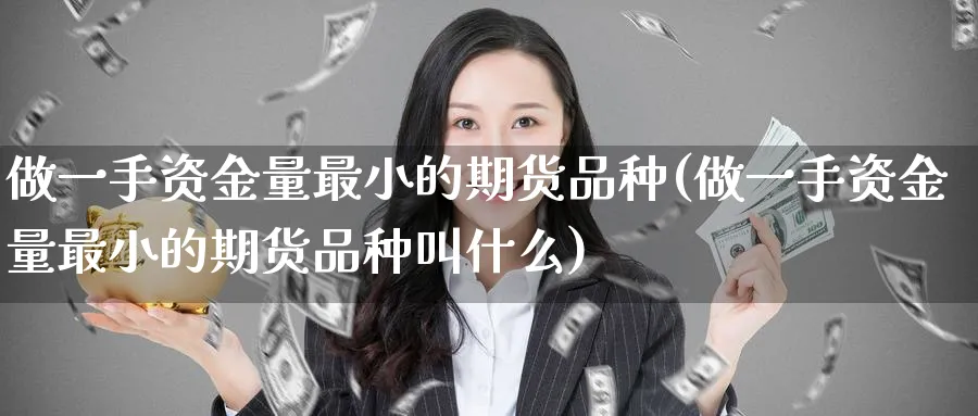 做一手资金量最小的期货品种(做一手资金量最小的期货品种叫什么) 股指期货 第1张-财经圈 做一手资金量最小的期货品种(做一手资金量最小的期货品种叫什么) (https://www.ynbygsw.com/) 股指期货 第1张