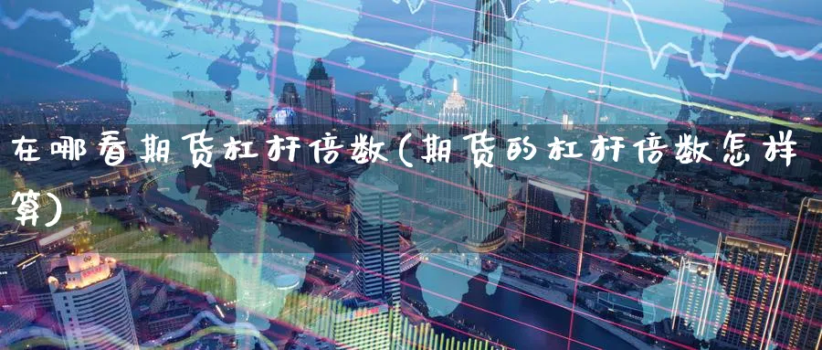 在哪看期货杠杆倍数(期货的杠杆倍数怎样算) (https://www.ynbygsw.com/) 国际期货 第1张