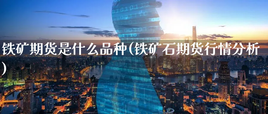 铁矿期货是什么品种(铁矿石期货行情分析) 国际期货 第1张-财经圈 铁矿期货是什么品种(铁矿石期货行情分析) (https://www.ynbygsw.com/) 国际期货 第1张
