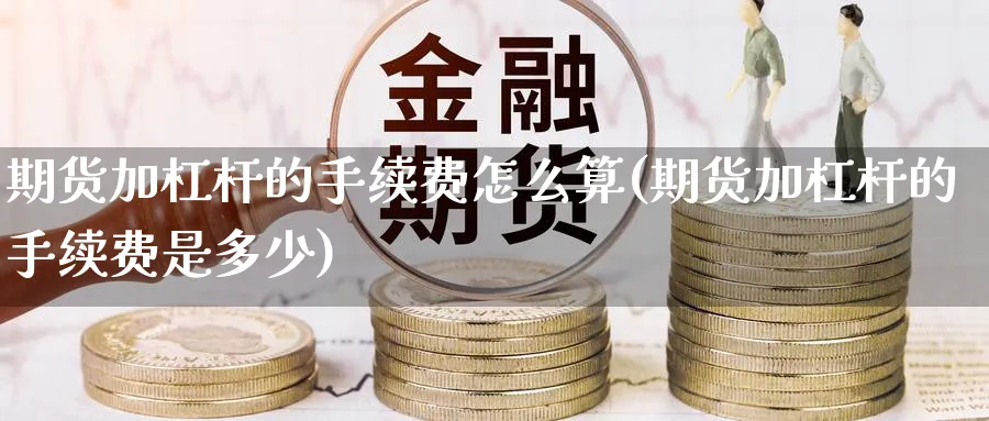 期货加杠杆的手续费怎么算(期货加杠杆的手续费是多少) (https://www.ynbygsw.com/) 期货学习 第1张