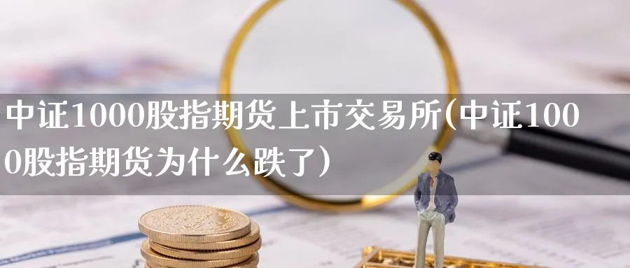 中证1000股指期货上市交易所(中证1000股指期货为什么跌了) (https://www.ynbygsw.com/) 股票推荐 第1张