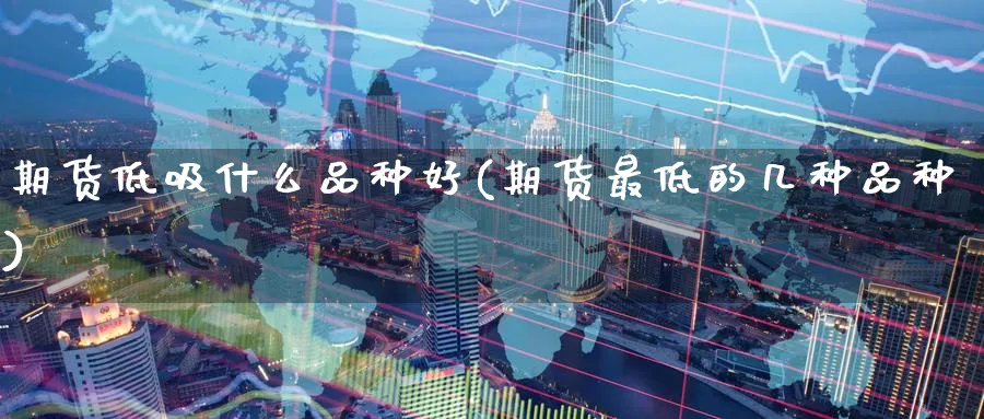 期货低吸什么品种好(期货最低的几种品种) (https://www.ynbygsw.com/) 基金投资 第1张