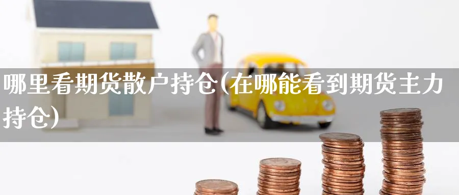 哪里看期货散户持仓(在哪能看到期货主力持仓) (https://www.ynbygsw.com/) 股指期货 第1张