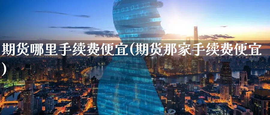 期货哪里手续费便宜(期货那家手续费便宜) (https://www.ynbygsw.com/) 期货行情 第1张