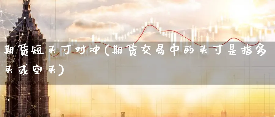 期货短头寸对冲(期货交易中的头寸是指多头或空头) (https://www.ynbygsw.com/) 期货学习 第1张