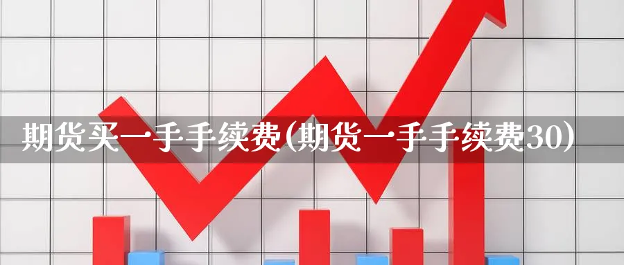 期货买一手手续费(期货一手手续费30) (https://www.ynbygsw.com/) 原油期货 第1张