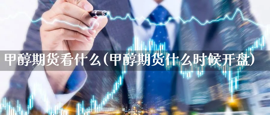 甲醇期货看什么(甲醇期货什么时候) (https://www.ynbygsw.com/) 基金投资 第1张