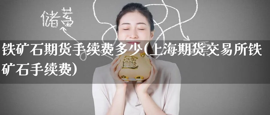 铁矿石期货手续费多少(上海期货交易所铁矿石手续费) (https://www.ynbygsw.com/) 期货手续费 第1张