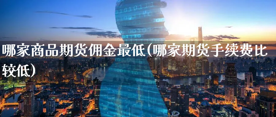 哪家商品期货佣金最低(哪家期货手续费比较低) (https://www.ynbygsw.com/) 期货软件 第1张