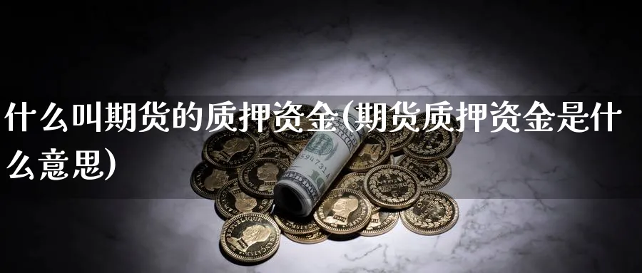什么叫期货的质押资金(期货质押资金是什么意思) (https://www.ynbygsw.com/) 恒指期货 第1张