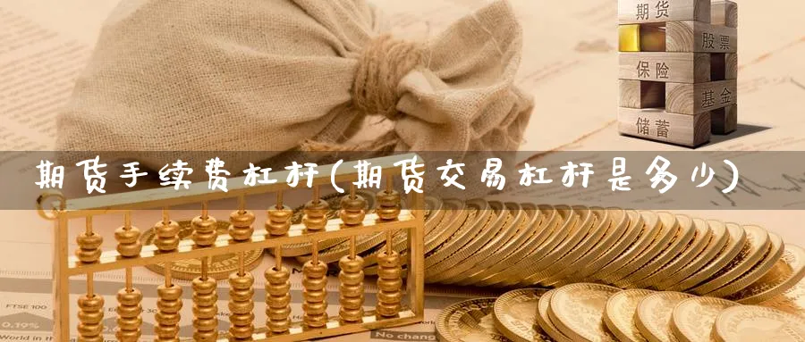 期货手续费杠杆(期货交易杠杆是多少) (https://www.ynbygsw.com/) 期货平台 第1张