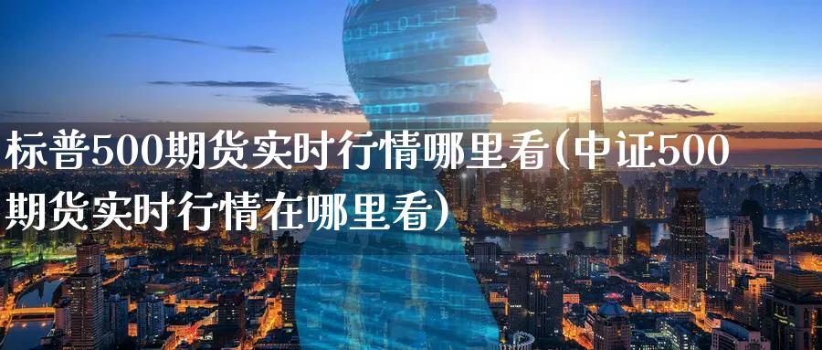 标普500期货实时行情哪里看(中证500期货实时行情在哪里看) (https://www.ynbygsw.com/) 国际期货 第1张