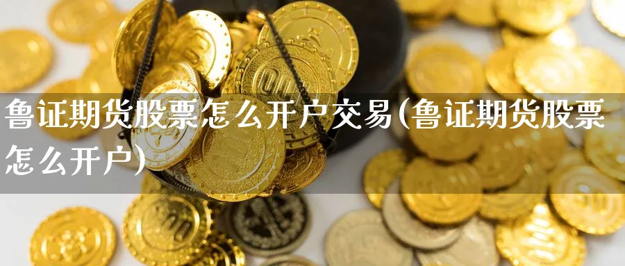 鲁证期货股票怎么开户交易(鲁证期货股票怎么开户) (https://www.ynbygsw.com/) 内盘期货 第1张