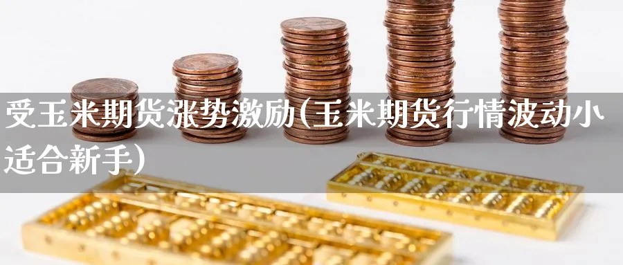 受玉米期货涨势激励(玉米期货行情波动小适合新手) 黄金期货 第1张-财经圈 受玉米期货涨势激励(玉米期货行情波动小适合新手) (https://www.ynbygsw.com/) 黄金期货 第1张