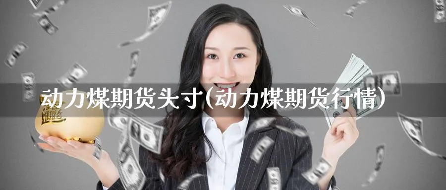 动力煤期货头寸(动力煤期货行情) (https://www.ynbygsw.com/) 理财百科 第1张