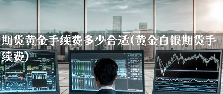 期货黄金手续费多少合适(黄金白银期货手续费) 基金投资 第1张-财经圈 期货黄金手续费多少合适(黄金白银期货手续费) (https://www.ynbygsw.com/) 基金投资 第1张