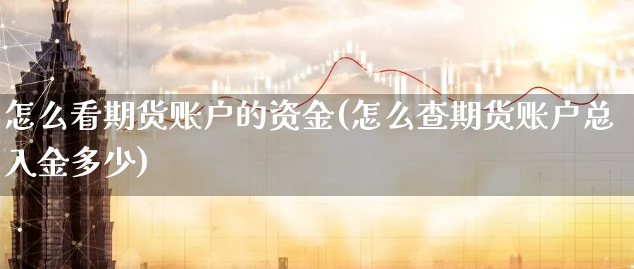 怎么看期货账户的资金(怎么查期货账户总入金多少) (https://www.ynbygsw.com/) 理财百科 第1张