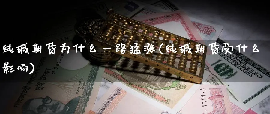纯碱期货为什么一路猛涨(纯碱期货受什么影响) (https://www.ynbygsw.com/) 期货行情 第1张
