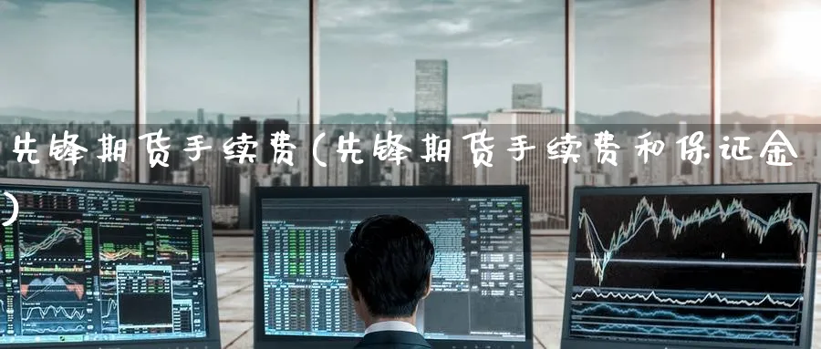 先锋期货手续费(先锋期货手续费和保证金) (https://www.ynbygsw.com/) 期货手续费 第1张