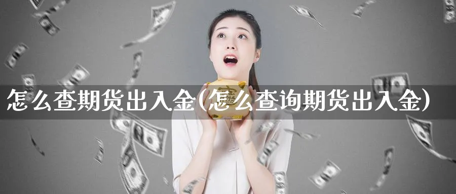 怎么查期货出入金(怎么查询期货出入金) 基金投资 第1张-财经圈 怎么查期货出入金(怎么查询期货出入金) (https://www.ynbygsw.com/) 基金投资 第1张
