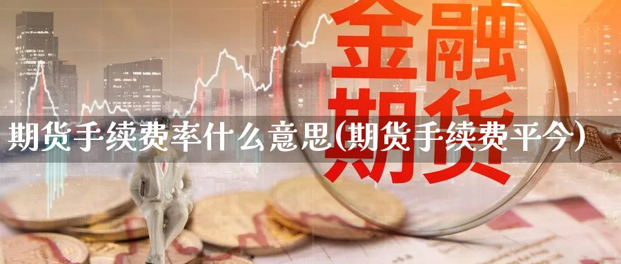 期货手续费率什么意思(期货手续费平今) (https://www.ynbygsw.com/) 期货学习 第1张