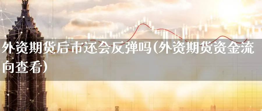 外资期货后市还会反弹吗(外资期货资金流向查看) (https://www.ynbygsw.com/) 股指期货 第1张