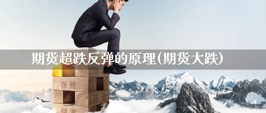 期货超跌反弹的原理(期货大跌) (https://www.ynbygsw.com/) 内盘期货 第1张
