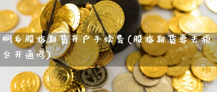 桐乡股指期货开户手续费(股指期货要去柜台开通吗) (https://www.ynbygsw.com/) 内盘期货 第1张