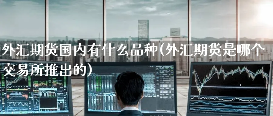 外汇期货国内有什么品种(外汇期货是哪个交易所推出的) 黄金期货 第1张-财经圈 外汇期货国内有什么品种(外汇期货是哪个交易所推出的) (https://www.ynbygsw.com/) 黄金期货 第1张