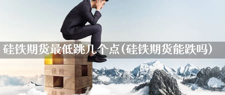硅铁期货最低跳几个点(硅铁期货能跌吗) (https://www.ynbygsw.com/) 期货学习 第1张