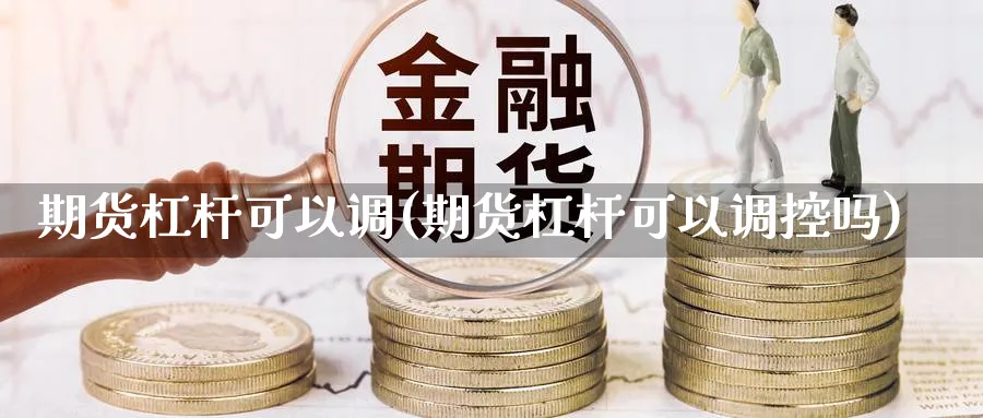 期货杠杆可以调(期货杠杆可以调控吗) (https://www.ynbygsw.com/) 期货学习 第1张