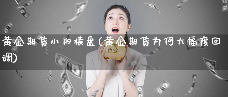 黄金期货小阳横盘(黄金期货为何大幅度回调) 原油期货 第1张-财经圈 黄金期货小阳横盘(黄金期货为何大幅度回调) (https://www.ynbygsw.com/) 原油期货 第1张