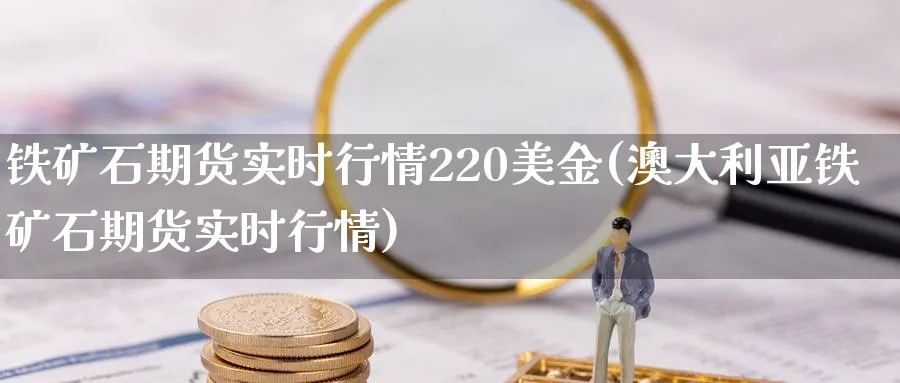 铁矿石期货实时行情220美金(澳大利亚铁矿石期货实时行情) (https://www.ynbygsw.com/) 基金投资 第1张
