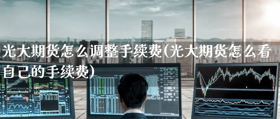 光大期货怎么调整手续费(光大期货怎么看自己的手续费) (https://www.ynbygsw.com/) 期货行情 第1张