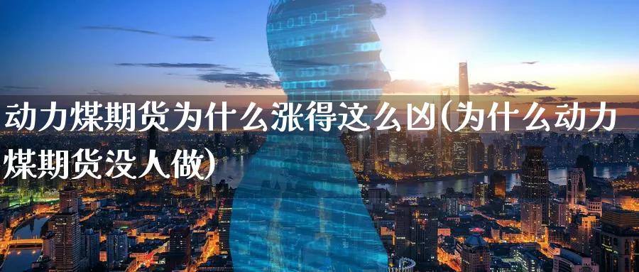 动力煤期货为什么涨得这么凶(为什么动力煤期货没人做) 国际期货 第1张-财经圈 动力煤期货为什么涨得这么凶(为什么动力煤期货没人做) (https://www.ynbygsw.com/) 国际期货 第1张