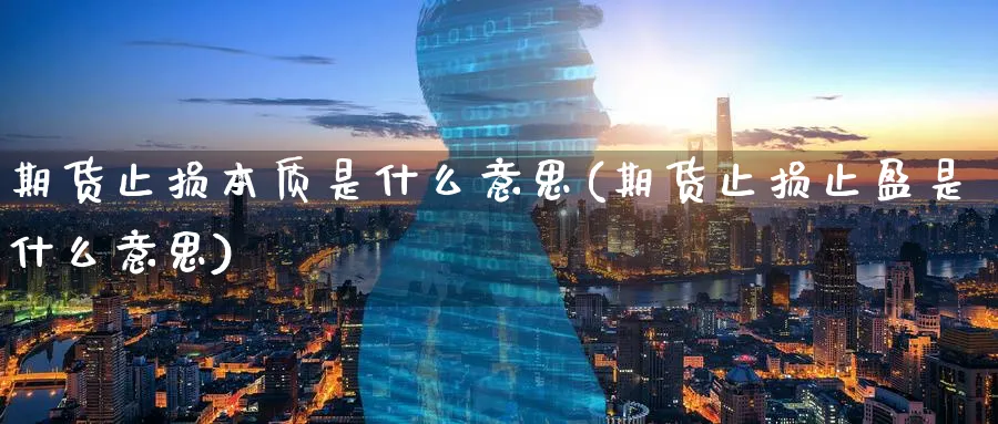 期货止损本质是什么意思(期货止损止盈是什么意思) (https://www.ynbygsw.com/) 基金投资 第1张