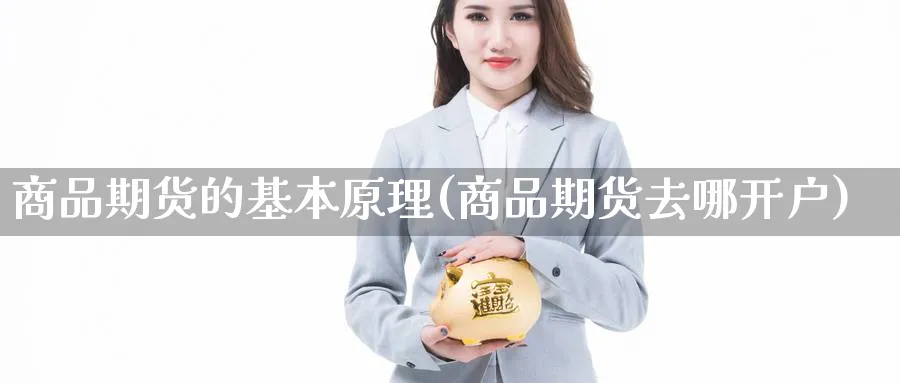 商品期货的基本原理(商品期货去哪开户) (https://www.ynbygsw.com/) 期货软件 第1张