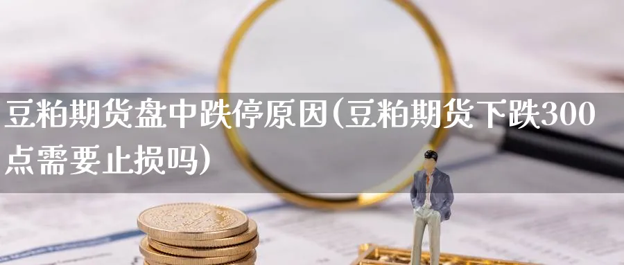 豆粕期货盘中跌停原因(豆粕期货下跌300点需要止损吗) (https://www.ynbygsw.com/) 基金投资 第1张