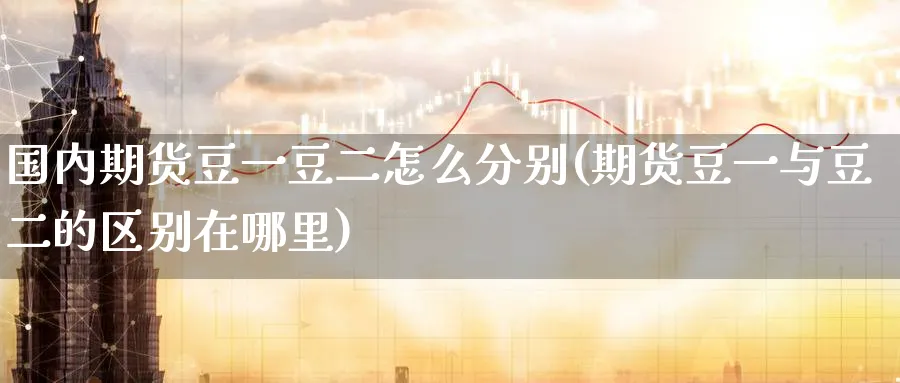 国内期货豆一豆二怎么分别(期货豆一与豆二的区别在哪里) (https://www.ynbygsw.com/) 原油期货 第1张