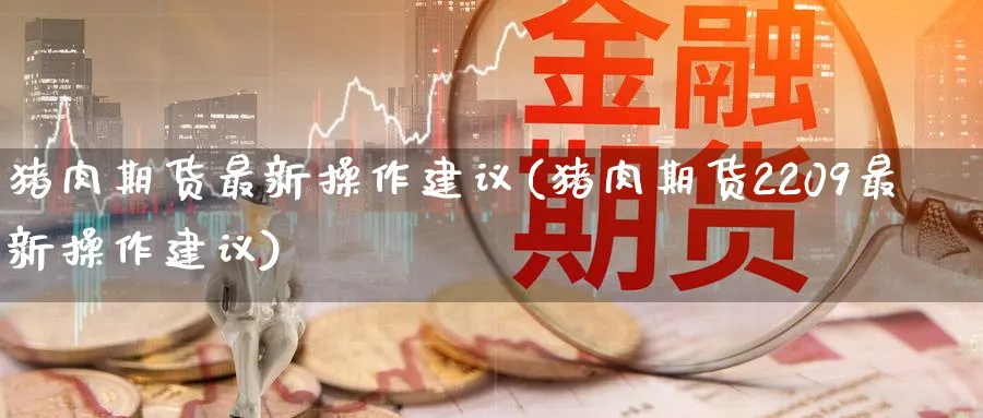 猪肉期货最新操作建议(猪肉期货2209最新操作建议) (https://www.ynbygsw.com/) 基金投资 第1张