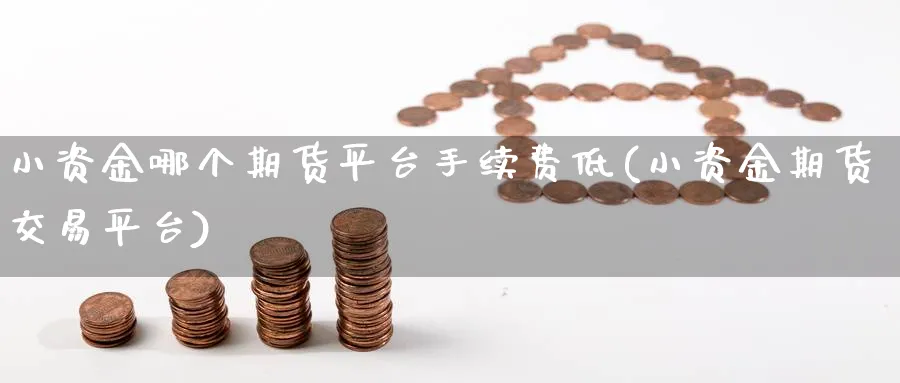 小资金哪个期货平台手续费低(小资金期货交易平台) (https://www.ynbygsw.com/) 内盘期货 第1张