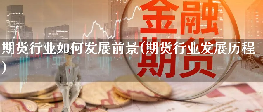 期货行业如何发展前景(期货行业发展历程) (https://www.ynbygsw.com/) 期货手续费 第1张