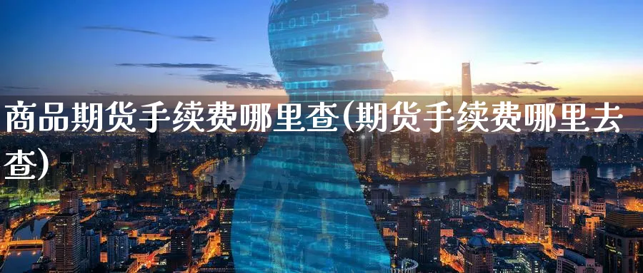 商品期货手续费哪里查(期货手续费哪里去查) 期货入门 第1张-财经圈 商品期货手续费哪里查(期货手续费哪里去查) (https://www.ynbygsw.com/) 期货入门 第1张